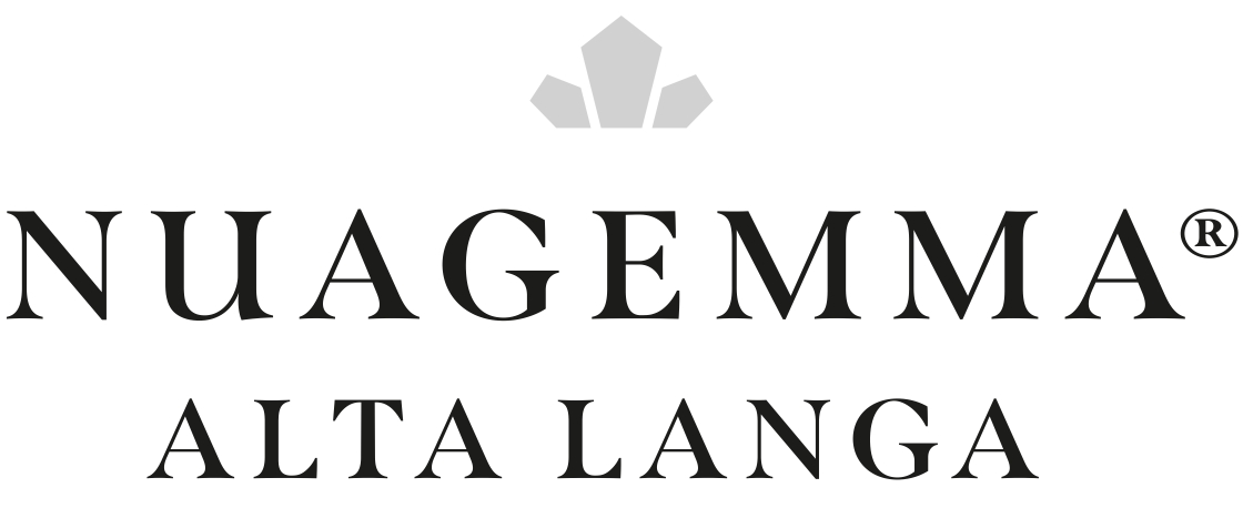 Logo-Nuagemma_page-0001